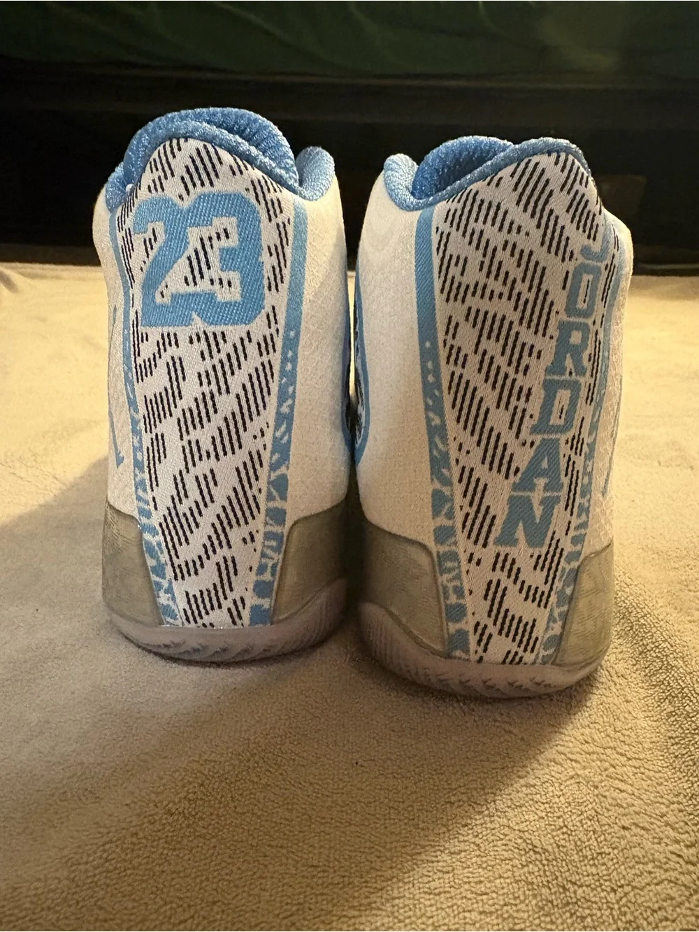 Air Jordan 29 ‘Pantone’